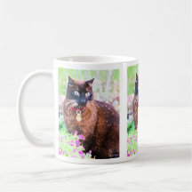 Havana Mug