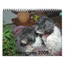 Havanese 2009 calendars