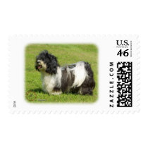 Havanese 8W098D-14 Stamps