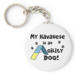 Havanese Agility Dog Keychains