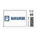 Havanese Blue postage