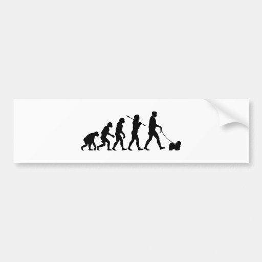 Havanese Bumper Sticker