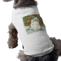 Havanese Dog and Poppies Art Print pet clothing by greerdesign Havanese Dog and Poppies Art Print pet clothing