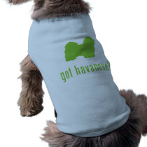 Havanese pet clothing by Pawdboy Havanese pet clothing