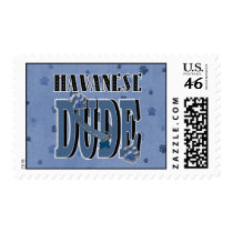 Havanese DUDE Postage