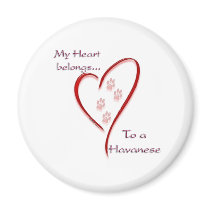 Havanese Heart Belongs Fridge Magnet