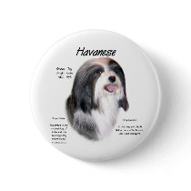 Havanese History Design Pins