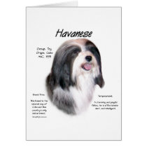 Havanese History Design Card