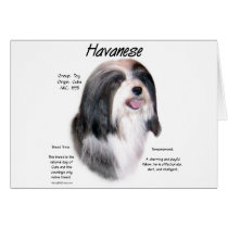 Havanese History Design Greeting Cards