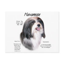 Havanese History Design Postcard