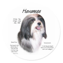 Havanese History Design Round Stickers
