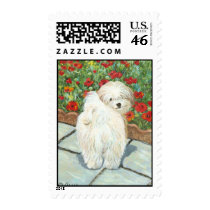 Havanese in the Poppies Art Postage Stamp