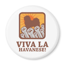 Havanese magnets