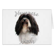 Havanese Mom 2 Cards
