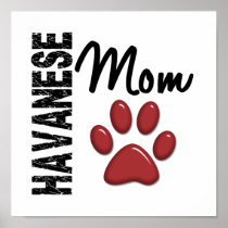 Havanese Mom 2 Posters