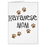 Havanese Mom Cards