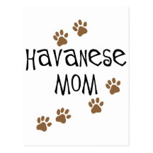 Havanese Mom Post Card
