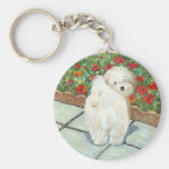 Havanese n Poppies Art Print Gifts & Cards Keychains