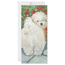 Havanese n Poppies Art Print Gifts & Cards Custom Rack Cards