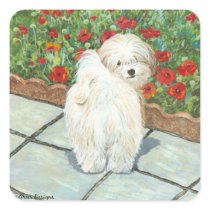 Havanese n Poppies Art Print Gifts & Cards Square Sticker