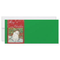 Havanese n Poppies Christmas Gifts and Cards rack cards