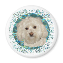 Havanese on Turquoise Water Magnets