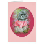 Havanese Pink Coat Art Portrait Greeting Card