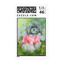 Havanese Pink Coat Art Portrait Postage Stamps