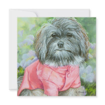 Havanese Pink Coat Portrait Invitation Card