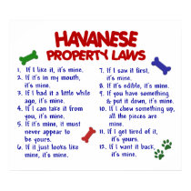 HAVANESE PL2 posters by poochloverstuff HAVANESE PL2 posters