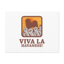 Havanese Postcards