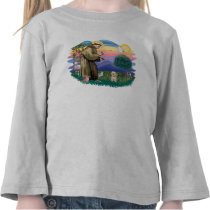 Havanese Pup t-shirts