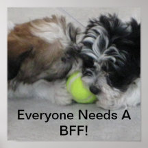 Bff Puppies