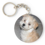 Havanese Puppy Keychain