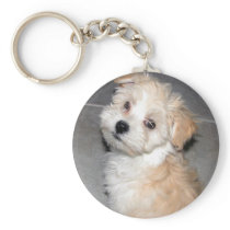 Havanese Puppy Keychain