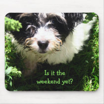 Havanese Puppy Mouse pad mousepads by patsarts Havanese Puppy Mouse pad mousepads