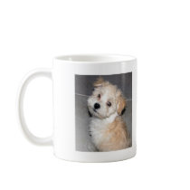 Havanese Puppy Coffee Mug