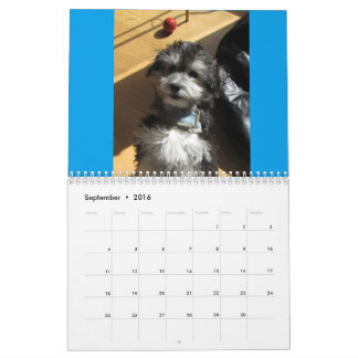havanese calendar havanese calendars zazzle havanese calendar havanese calendars zazzle