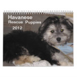 Havanese Rescue Puppies 2012 Wall Calendar