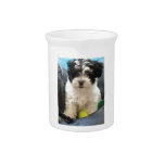 Havanese Rescue Puppy Black White Drink Pitcher