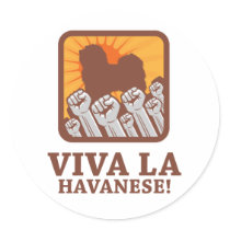 Havanese Stickers