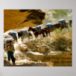 Havasu Canyon Pack Train Poster