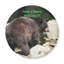 Have a Beary Nice Day !!! Magnet