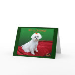 Have a Bella Christmas Greeting Card