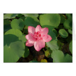 HAVE   A  BLOOMING    FACE    LIKE      MINE CARD