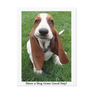 Have a Dog Gone Good Day! Postcard postcard