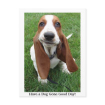 Have a Dog Gone Good Day! Postcard by robinkrzyzak78 Have a Dog Gone Good Day! Postcard