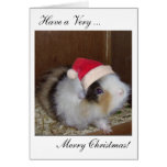 Have a Guinea Merry Christmas card!