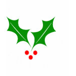 Have a Holly Jolly Christmas! T Shirts