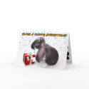 Have A Hoppy Christmas W/ Pika - Rabbit Xmas Card by RabbitBunnies Have A Hoppy Christmas W/ Pika - Rabbit Xmas Card